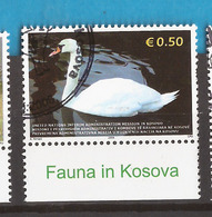 KOS-UNMIK-1  2006 48- KOSOVO UNMIK LUX  FAUNA TIERE BIRDS SCHWAN -  USED - Cygnes