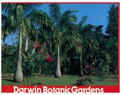 (L 3) Australia - NT - Darwin (TBCPC 440) - Darwin