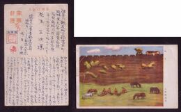 JAPAN WWII Military Horse Picture Postcard Manchukuo China Dongman WW2 MANCHURIA CHINE MANDCHOUKOUO JAPON GIAPPONE - 1932-45 Mantsjoerije (Mantsjoekwo)