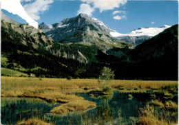 Lauenen - Wildhorn Und Geltengletscher (83) - Lauenen