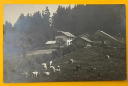 12814 -  Ferme Et Vaches à Situer Lausanne 21.06.1917 Pour La Chaux-de-Fonds - La Chaux