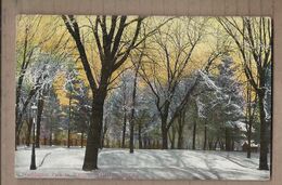 CPA USA - IOWA - WATERLOO - Washington Park In Winter - TB PLAN Arbres Centre Village Sous La Neige - Oblitération - Waterloo