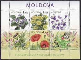 Moldavie Moldova 2009 Yvertn° Bloc 48 *** MNH Cote 12,00 Euro Flore - Moldova