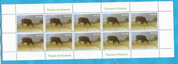 Delcampe - KOS-UNMIK-1  2006 46- KOSOVO UNMIK LUX  FAUNA TIERE HAUSRIND-  MNH - Vaches