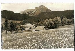 Les Pacco's CHATEL St DENIS Chapelle De ND Des Neiges Et Le Moléson Ed. Glasson 2141, Cpsm Pf - Chapelle