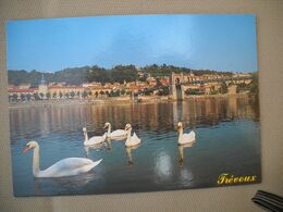 2230 Carte Postale  TREVOUX     Cité Médiévale       Cygne      01 Ain - Trévoux