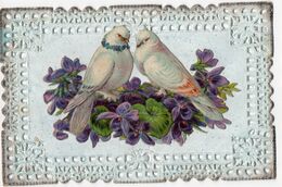 CPA Fantaisie - Oiseau - Ajouti Chromo Colombes, Violettes - Dentelle - Birds