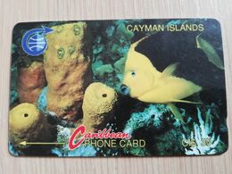 CAYMAN ISLANDS  CI $ 30,-  CAY-1D CONTROL NR 1CCID  ROCK BEAUTY FISH OLD LOGO     Fine Used Card  ** 3060** - Kaimaninseln (Cayman I.)