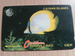 CAYMAN ISLANDS  CI $ 30,-  CAY-5B  CONTROL NR 5CCIB  SPOTFIN BUTTERFLY FISH   NEW  LOGO     Fine Used Card  ** 3069** - Cayman Islands