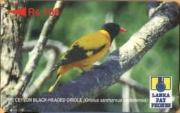 Sri Lanka (Ceylon) - SRL-25A (0), GPT, 25SRLA , Black-Headed Oriole, Birds, Rs.100, Used - Sri Lanka (Ceilán)