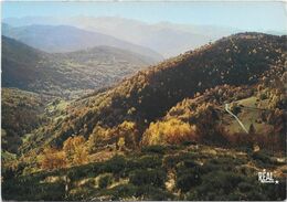 4271 - 09 Ax Les Thermes Vallée De La Lauze En Automne Route Du Col De Pradel - Ax Les Thermes