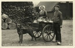 Nederland, BOXTEL, Brabantsch Dorpsleven, Hondenkar Melkventer (1920s) Ansichtkaart - Boxtel