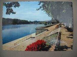 2675 Carte Postale MOISSAC Les Promenades    82 Tarn Et Garonne - Moissac