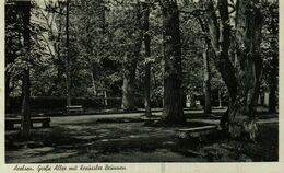 BAD AROLSEN - Grosse Allee Mit Kreussler Brunnen - Bad Arolsen