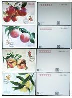 China 2014#15 Fruits ( I ) MC-105 - Frutas
