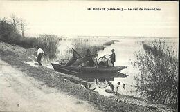 Bouaye  Le Lac De Grand Lieu - Bouaye