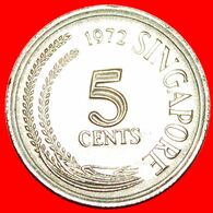 · SNAKE BIRD (1967-1985): SINGAPORE ★ 5 CENTS 1972 MINT LUSTER! LOW START★ NO RESERVE! - Singapour