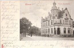UELZEN Niedersachsen Ülzen Kreis Sparkasse Belebt Passepartout Karte 16.8.1904 Gelaufen - Uelzen