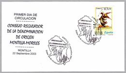 VINO DENOMINACION DE ORIGEN MONTILLA-MORILES. WINE. FDC Montilla, Cordoba, Andalucia, 2003 - Vins & Alcools