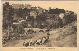 LOZERE : Grandrieu, Le Pont Romain - Gandrieux Saint Amans