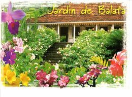 Martinique France Jardin De Balata Massif De Bégonias A L Entrée Du Jardin Fleur Plante Nature Verdure - Andere