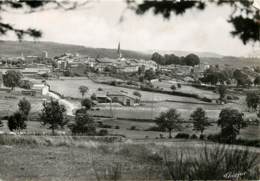 USSON EN FOREZ  VUE GENERALE COTE NORD - Sonstige & Ohne Zuordnung