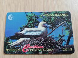 CAYMAN ISLANDS  CI $ 10,-  CAY-11D  CONTROL NR 11CCID  RED FOOTED BOOBY      NEW  LOGO     Fine Used Card  ** 3085** - Cayman Islands