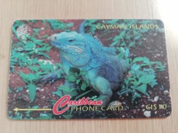 CAYMAN ISLANDS  CI $ 10,-  CAY-13B  CONTROL NR 13CCIB  GRAND CAYMAN LEGUANA      Fine Used Card  ** 3089** - Cayman Islands