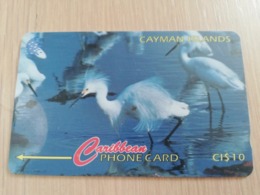 CAYMAN ISLANDS  CI $ 10,-  CAY-13C  CONTROL NR 13CCIC  SNOWY EGRETS      Fine Used Card  ** 3090** - Kaaimaneilanden