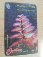 CAYMAN ISLANDS  CI $ 10,-  CAY-47A  CONTROL NR 47CCIA  CHRISTMAS TREE WORM      Fine Used Card  ** 3092** - Kaaimaneilanden