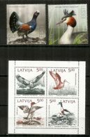 Oiseaux Des Pays Baltes . Barge à Queue Noire,Grèbe Huppé,Grand Tétras ,etc.  6 Timbres Neufs **  2018-2020 - Cigognes & échassiers