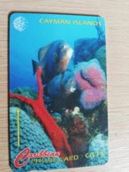 CAYMAN ISLANDS  CI $ 15,-  CAY-64B  CONTROL NR 64CCIB  FISH AND CORAL  GRAND CAYMAN       Fine Used Card  ** 3100** - Kaaimaneilanden