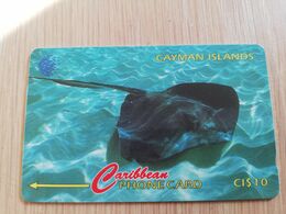 CAYMAN ISLANDS  CI $ 10,-  CAY-94E  CONTROL NR 94CCIE   STINGRAY     Fine Used Card  ** 3104** - Kaimaninseln (Cayman I.)