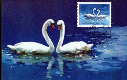 " CYGNES / COEUR " Sur Carte Maximum De CHINE De 1983. Parfait état. CM - Maximum Cards