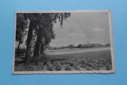 KWAREMONT Zicht Over Het Dorp / Vue Sur Le Village ( Gez. Bogaert ) Anno 19?? ( Zie / Voir Photo ) ! - Kluisbergen