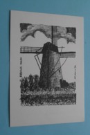 ERTVELDE < MOLEN ( .....'84 ) Anno 19?? ( Zie Foto ) ! - Evergem