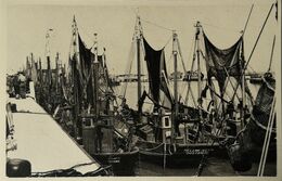 Oostende - Ostende // Montgomery Dock (Vissers Vloot ) 19?? - Oostende