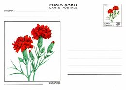 Thème Fleurs - Turquie - Entier Postal - TB - Other & Unclassified