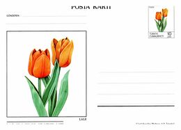 Thème Fleurs - Turquie - Entier Postal - TB - Altri & Non Classificati