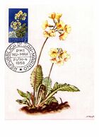 Thème Fleurs - Saint Marin - Carte Maximum - TB - Other & Unclassified