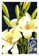 Thème Fleurs - Saint Marin - Carte Maximum - TB - Other & Unclassified