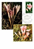 Thème Fleurs - Andorre - Carte Maximum - TB - Altri & Non Classificati