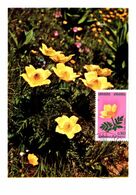 Thème Fleurs - Andorre - Carte Maximum - TB - Other & Unclassified