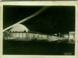 ROMA - PARTITO NAZIONALE FASCISTA - MOSTRA AERONAUTICA MILITARE - 1939 ANNULLO - CART. FOTOGRAFICA ISTITUTO LUCE (5059) - Mostre, Esposizioni