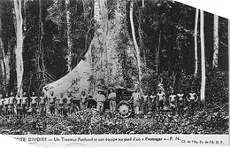 Thème Automobile:  Un Tracteur Panhard  Et Son équipe  Côte D'Ivoire   (voir Scan) - Voitures De Tourisme