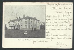 +++ CPA - Château De HOGNE - Somme Leuze   // - Somme-Leuze