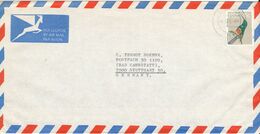 South Africa RSA Air Mail Cover Sent  To Germany 10-4-1975 Single Franked BIRD - Poste Aérienne