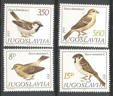 YU 1982-1925-8 BIRDS YUGOSLAVIA 4v, MNH - Sparrows