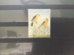 Argentinië / Argentina - Vogels (4) 2008 - Used Stamps