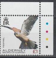 ALDERNEY.  FAUCON CRECERELLE - Eagles & Birds Of Prey